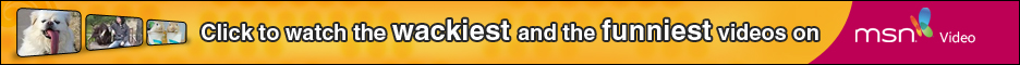 Watch really funny videos here!