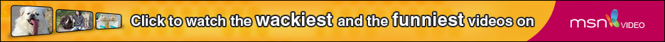  Watch really funny videos here!